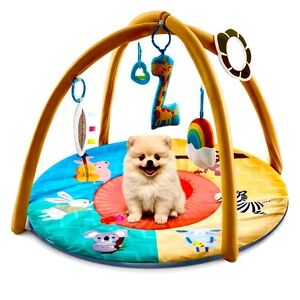 Dog & Cat Play Interactive Activity Mat with Squeaky Toys, 30 × 30 × 20”. NIB.